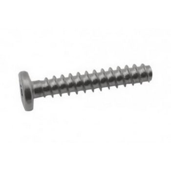 922-7812 Apple Screw (T10) for iMac 24 inch Late 2006 A1200