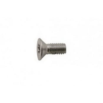 922-7813 Apple Screw (T10) for iMac 24 inch Late 2006 A1200