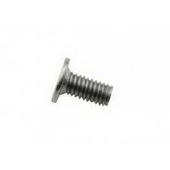 922-7814 Apple Screw (T10) for iMac 24 inch Late 2006 A1200