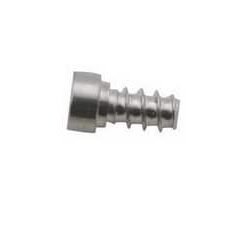 922-7815 Apple Screw (T10) for iMac 24 inch Late 2006 A1200