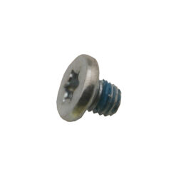 922-7971 Apple Screw (T10) for iMac 24 inch Late 2006 A1200