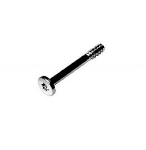 922-9243 Apple Screw T10 for iMac 27 inch Late 2009 A1312